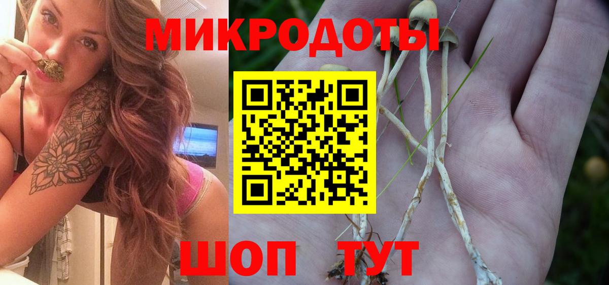 Омск  Галлюциногенные грибы GOLDEN TEACHER  Вход с VPN 